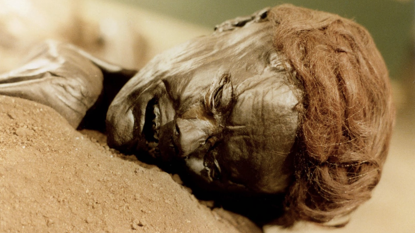Detailed close-up of the mummified head of the Grauballe Man, showing his preserved facial features and a mass of reddish hair